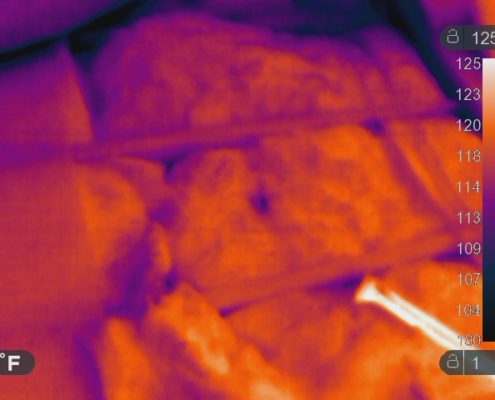 thermal imaging can be used to inspect for pest activity