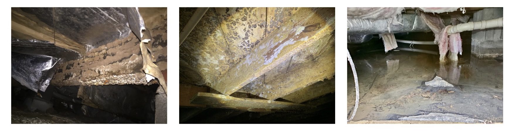 should you install a dehumidifier in your crawlspace