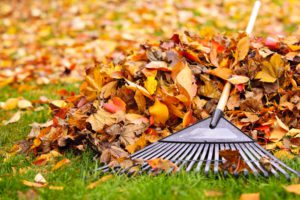 fall maintenance is more than raking leaves