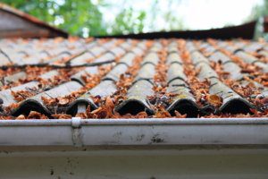 dirty gutters can cause damage to soffit and fascia