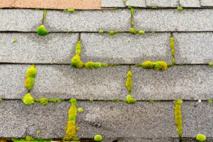 this moss on the roof can cause damage and needs to be cleaned
