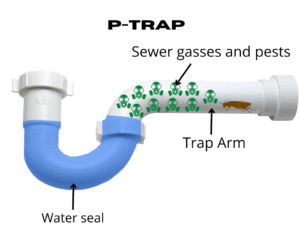 p-trap diagram illustrates how p-trap works