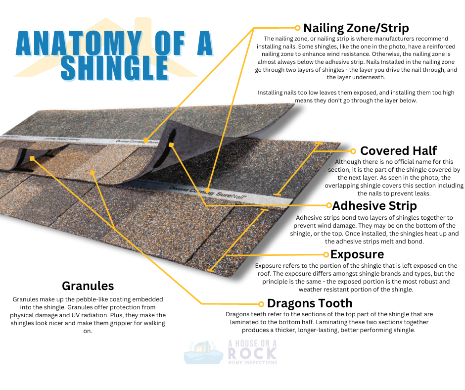 anatomy of an asphalt shingle