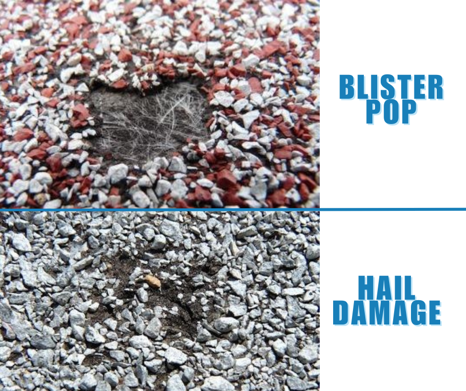 infographic blister pops vs hail damage on asphalt shingles